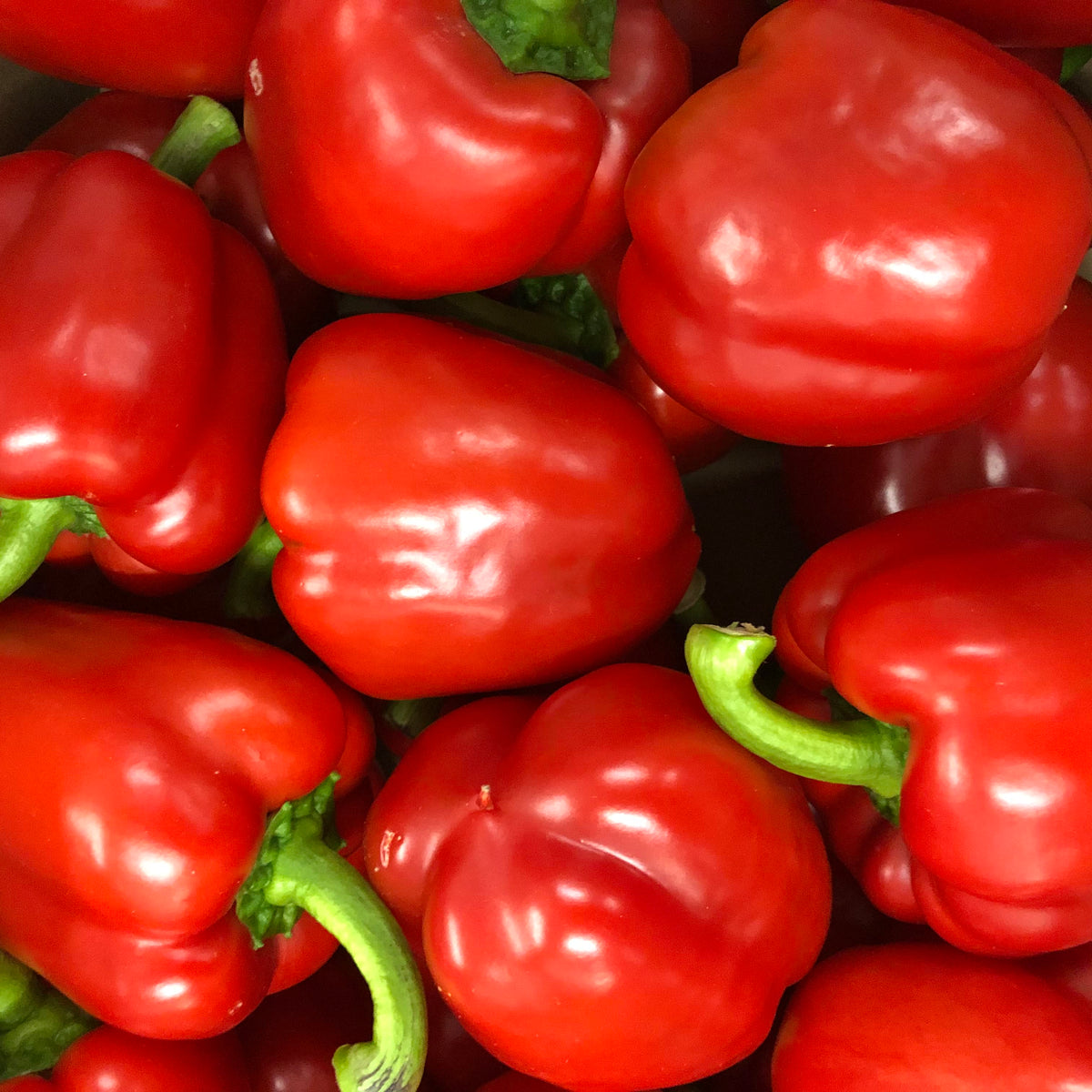 Red Pepper – Fresh Fields Foods