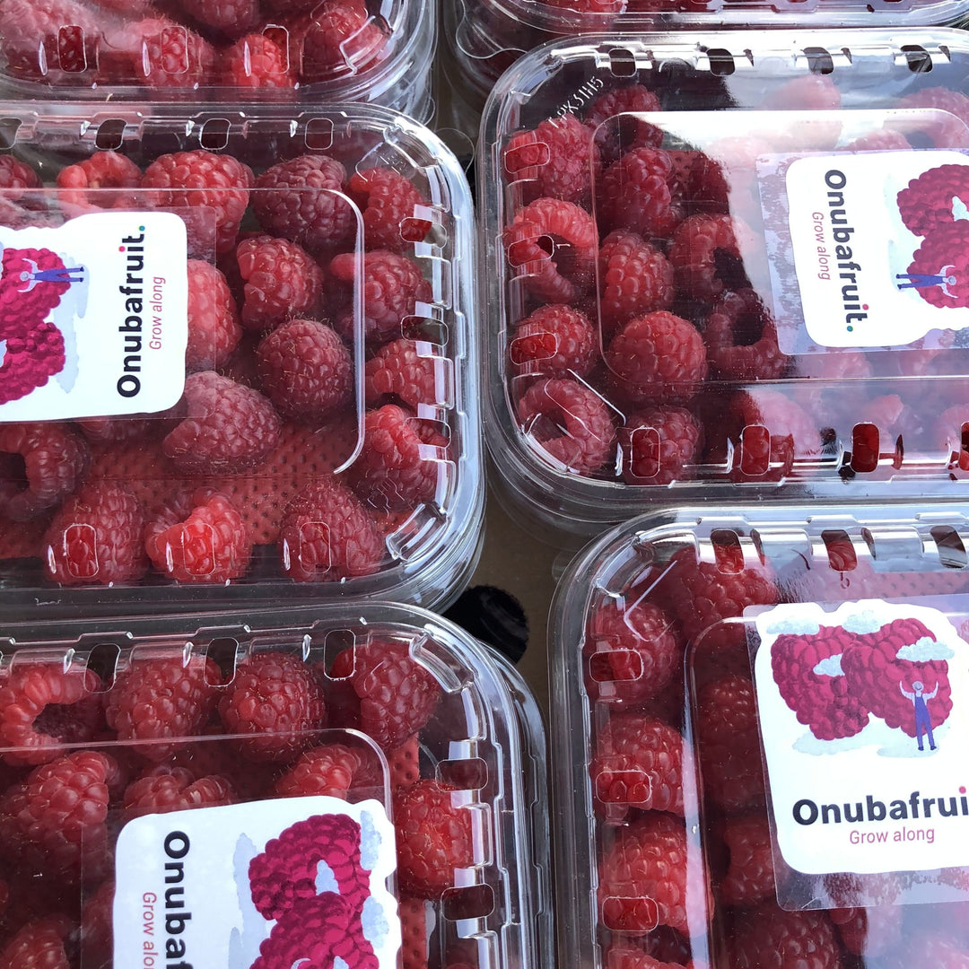 Raspberries (125g punnet) – Fresh Fields Foods