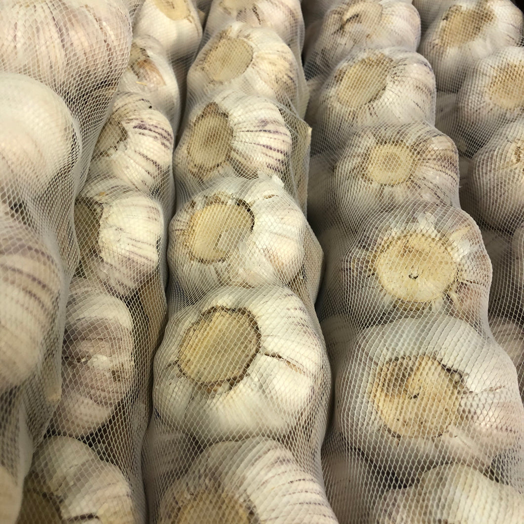 Garlic Netted Net of Garlic – Fresh Fields Foods